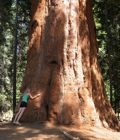 Freja sammen med en lille Redwood